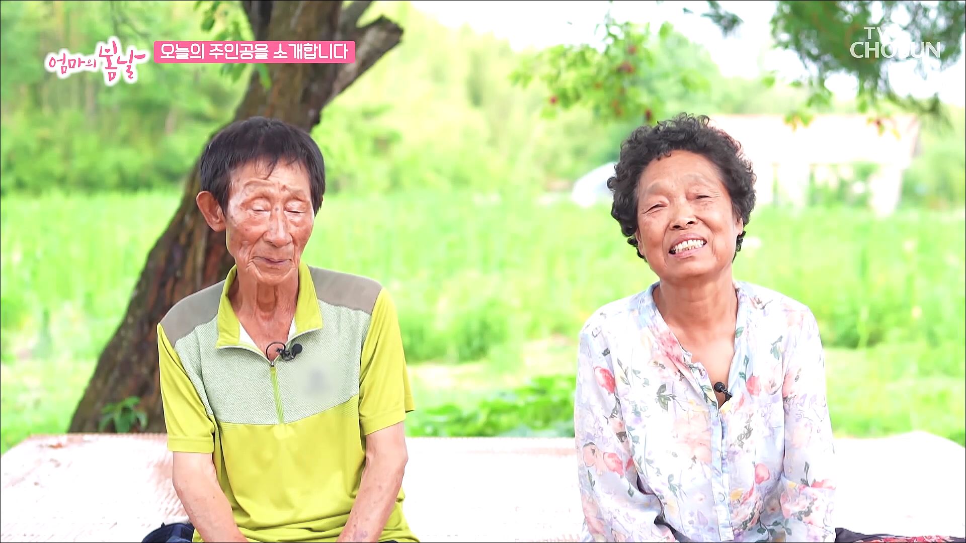 엄마의 봄날 460회