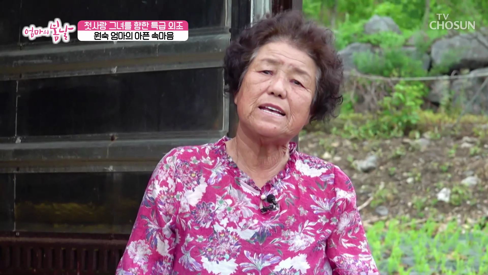 엄마의 봄날 462회