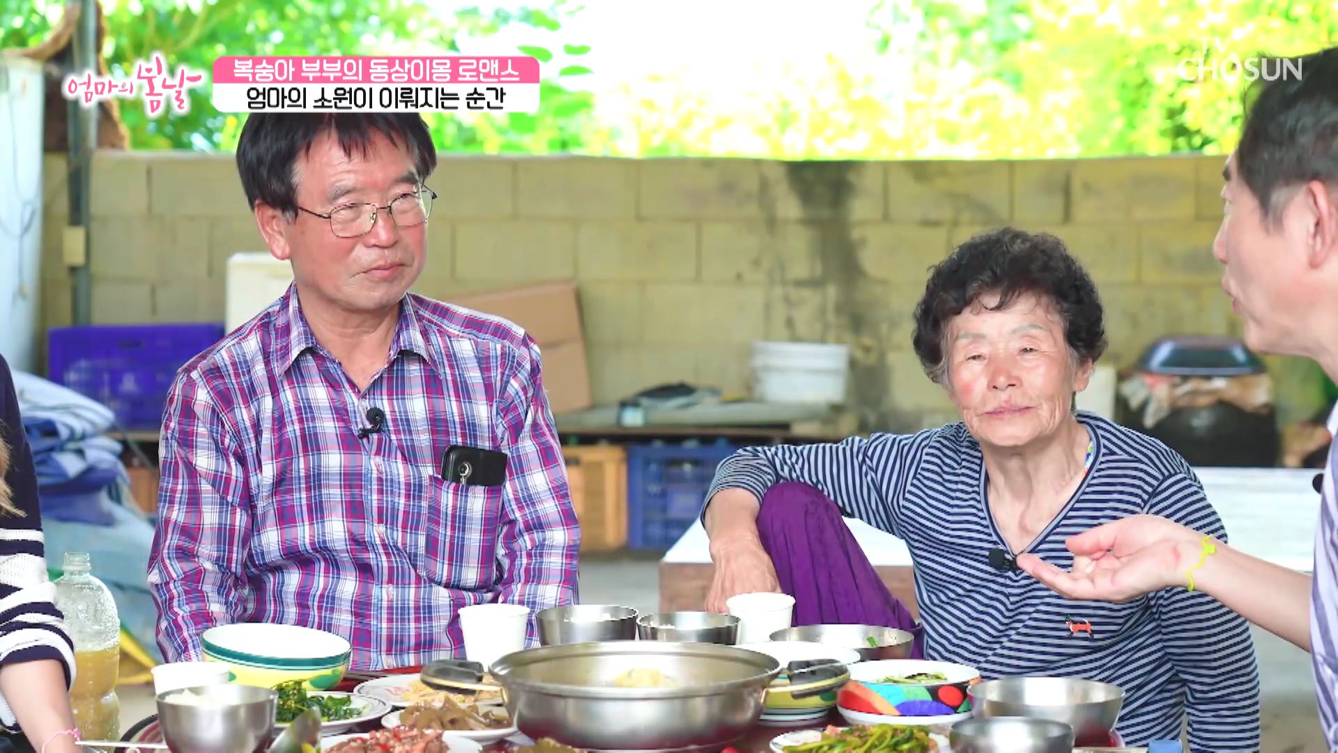 엄마의 봄날 468회