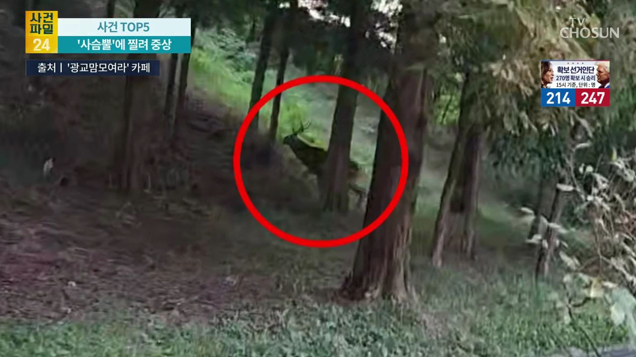 사건파일 24 1794회