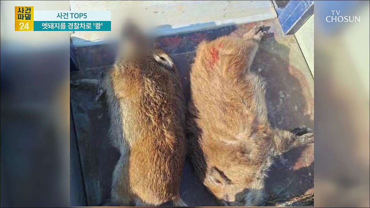 사건파일 24 1822회