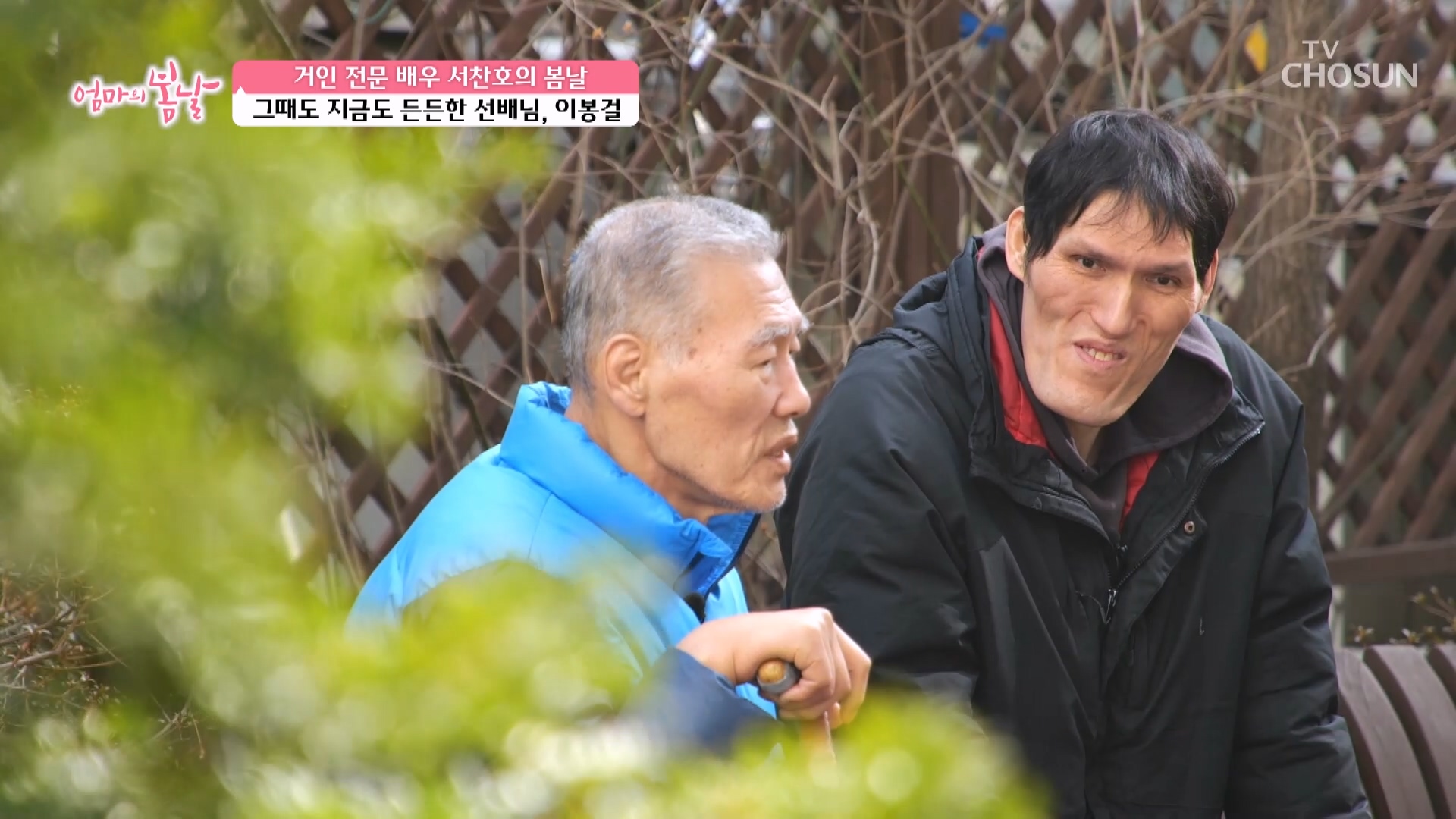 엄마의 봄날 498회