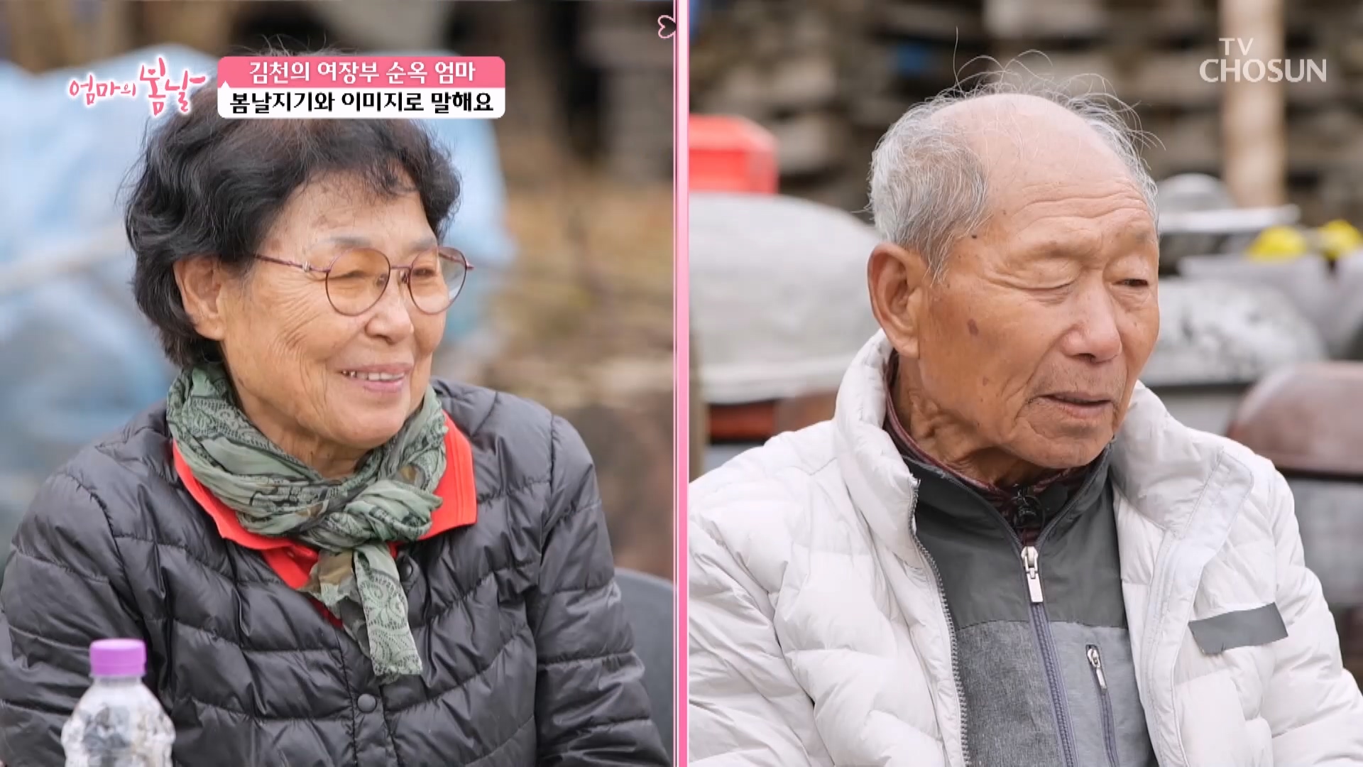 엄마의 봄날 499회