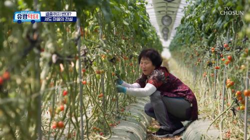 방방곡곡 낭만로드 유랑닥터 15회