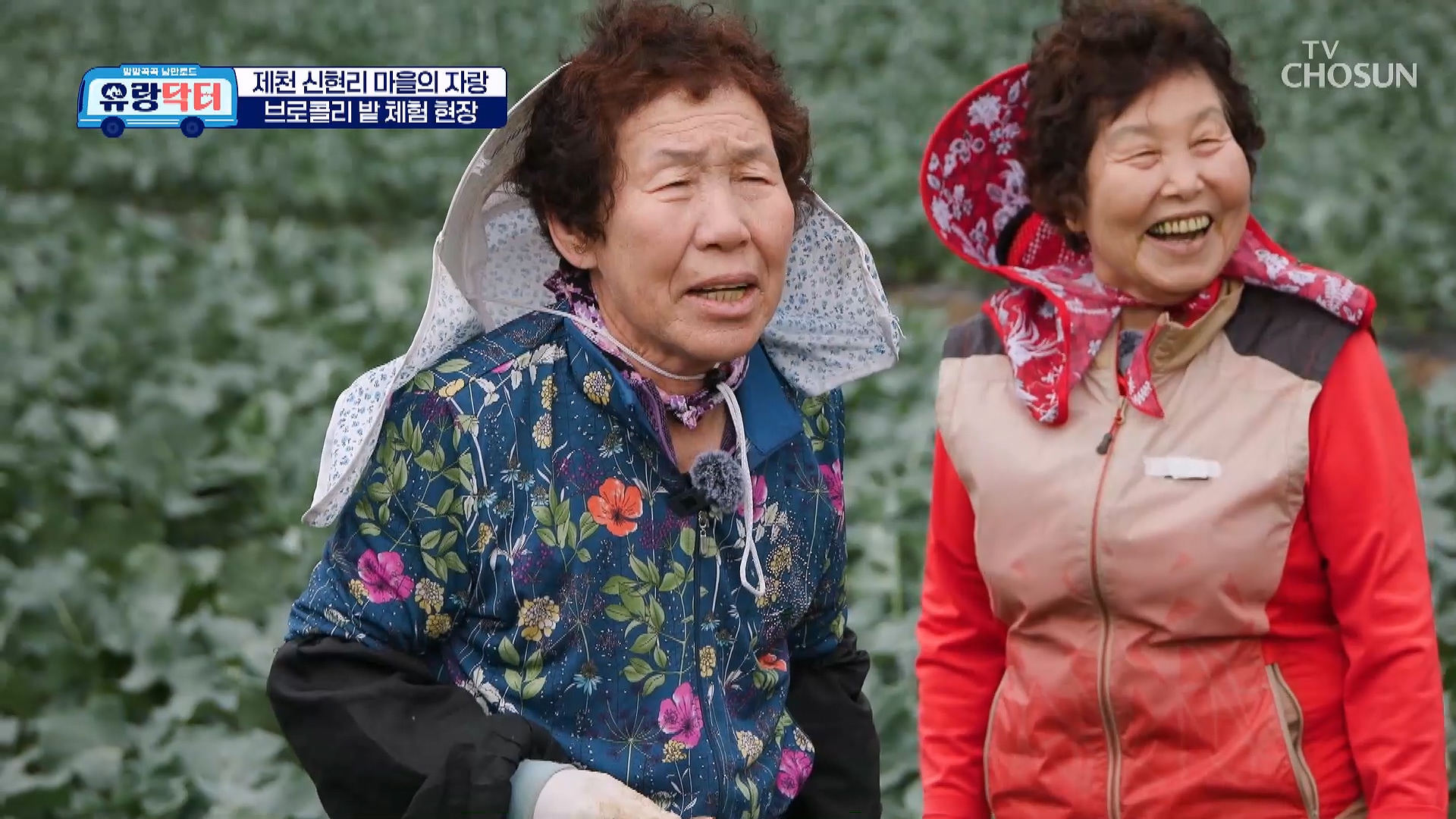 방방곡곡 낭만로드 유랑닥터 18회