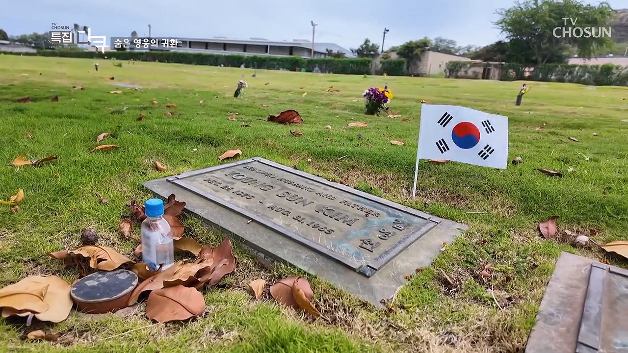 [광복 80주년 특집] 하와이! 숨은 영웅의 귀환