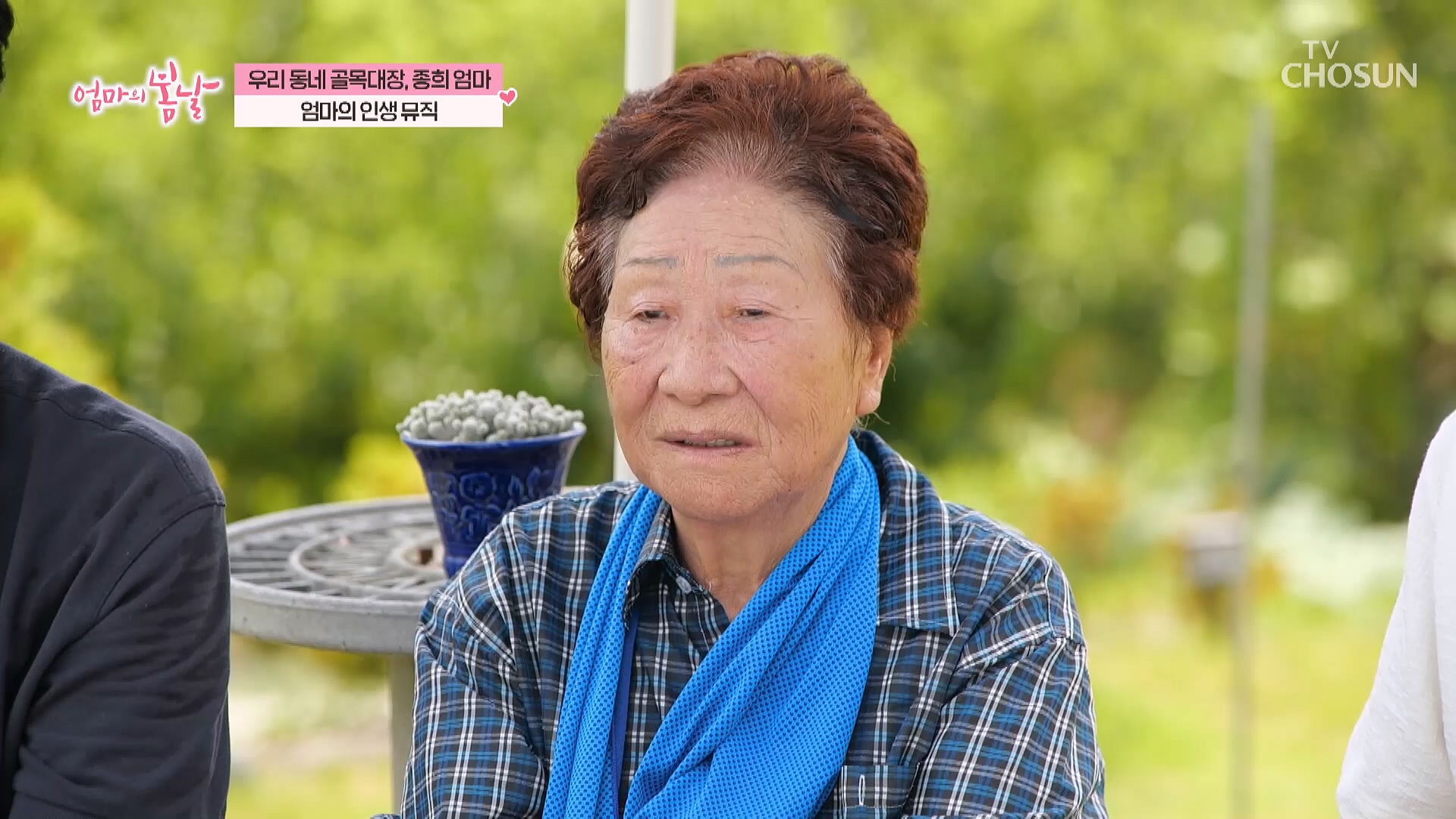 엄마의 봄날 519회