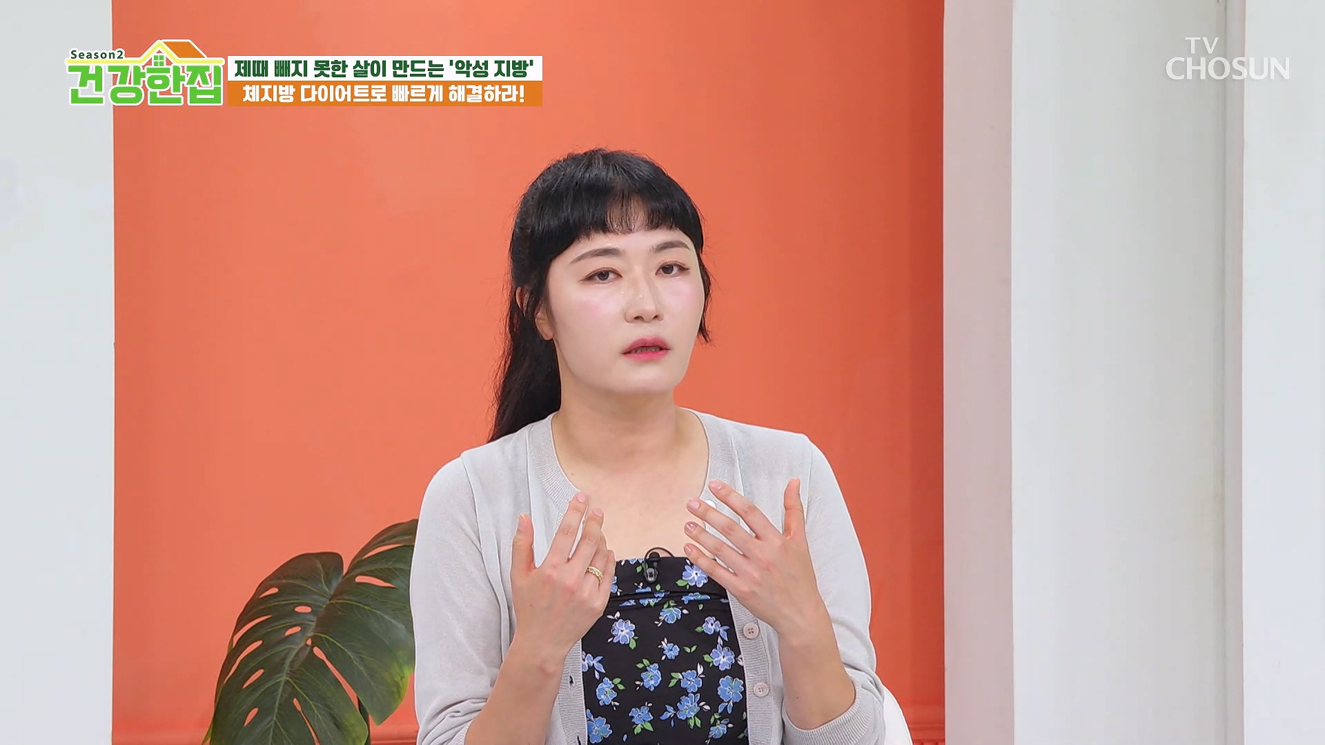 건강한 집2 72회