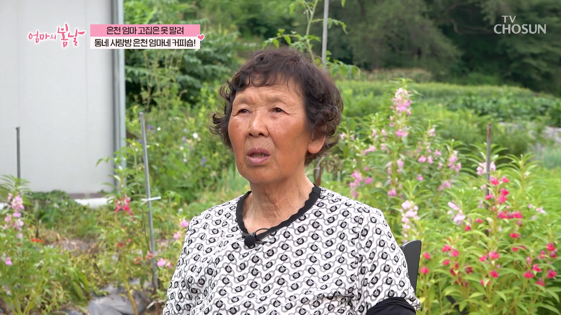 엄마의 봄날 520회