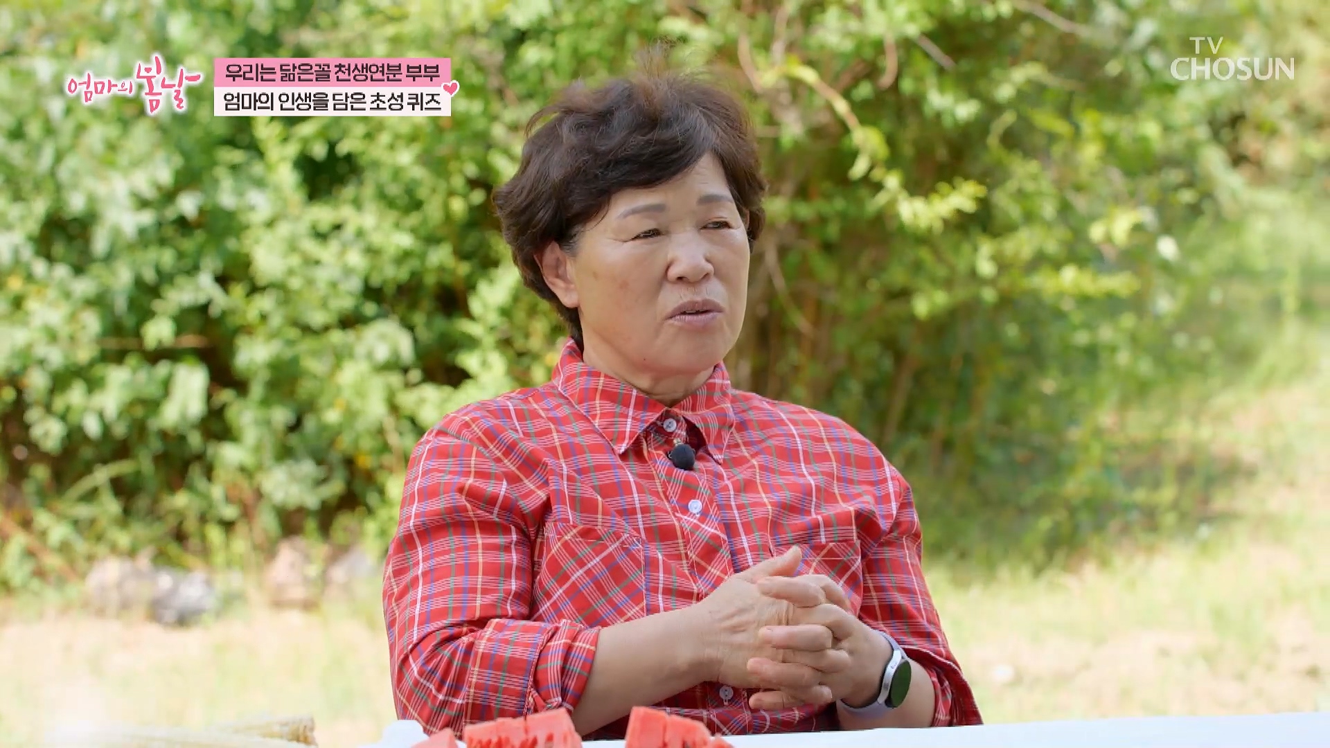 엄마의 봄날 523회