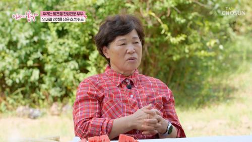 엄마의 봄날 523회