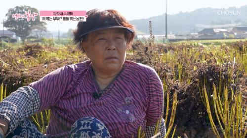 엄마의 봄날 530회