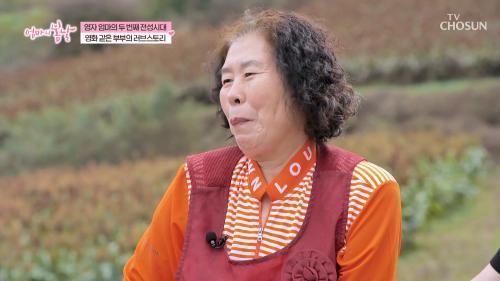 엄마의 봄날 531회