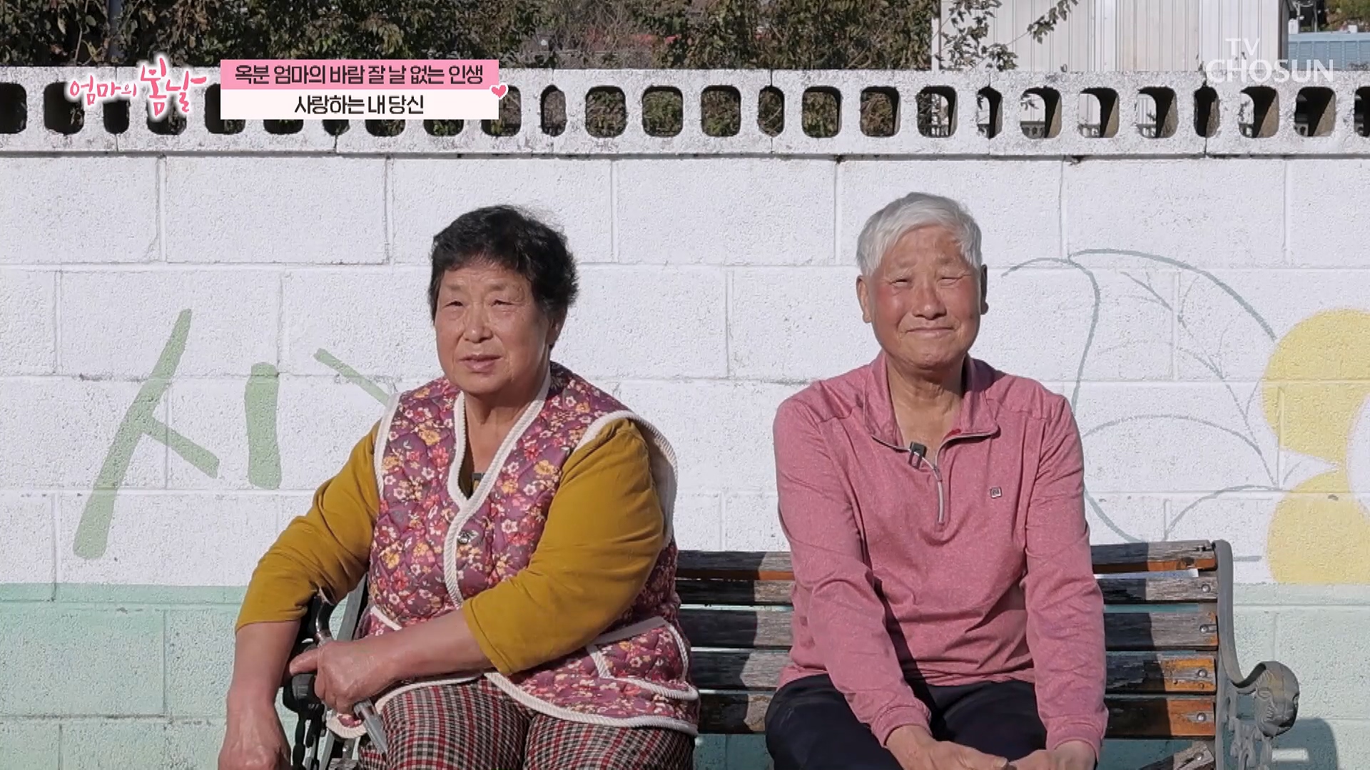 엄마의 봄날 532회