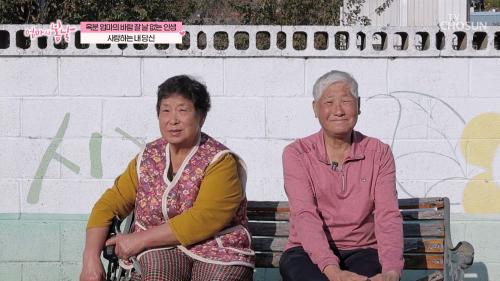 엄마의 봄날 532회