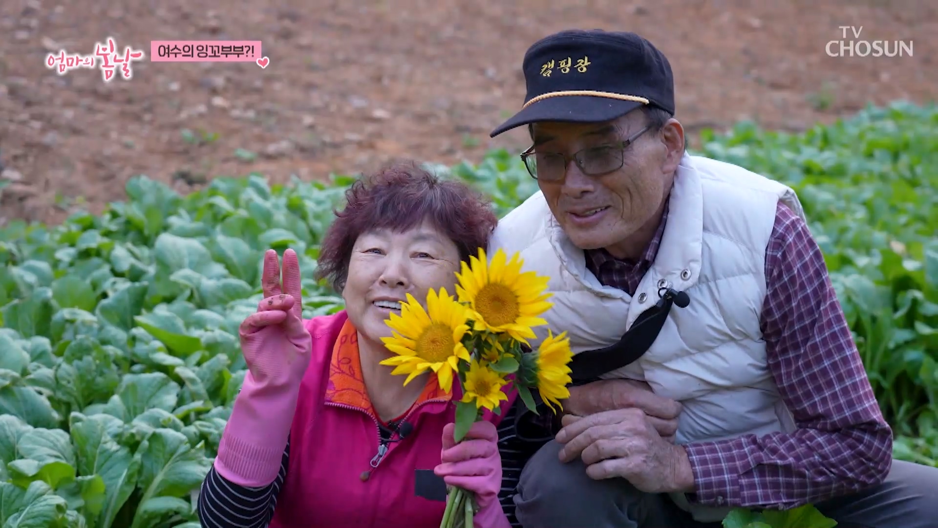 엄마의 봄날 534회