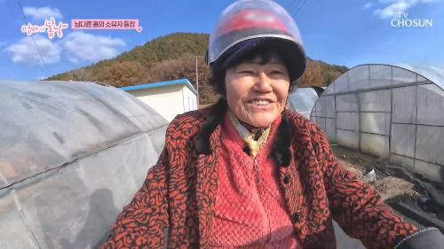 엄마의 봄날 535회