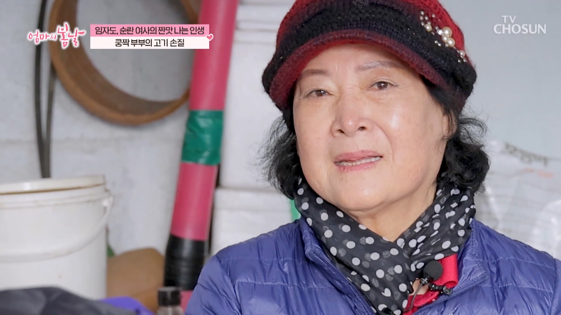 엄마의 봄날 536회