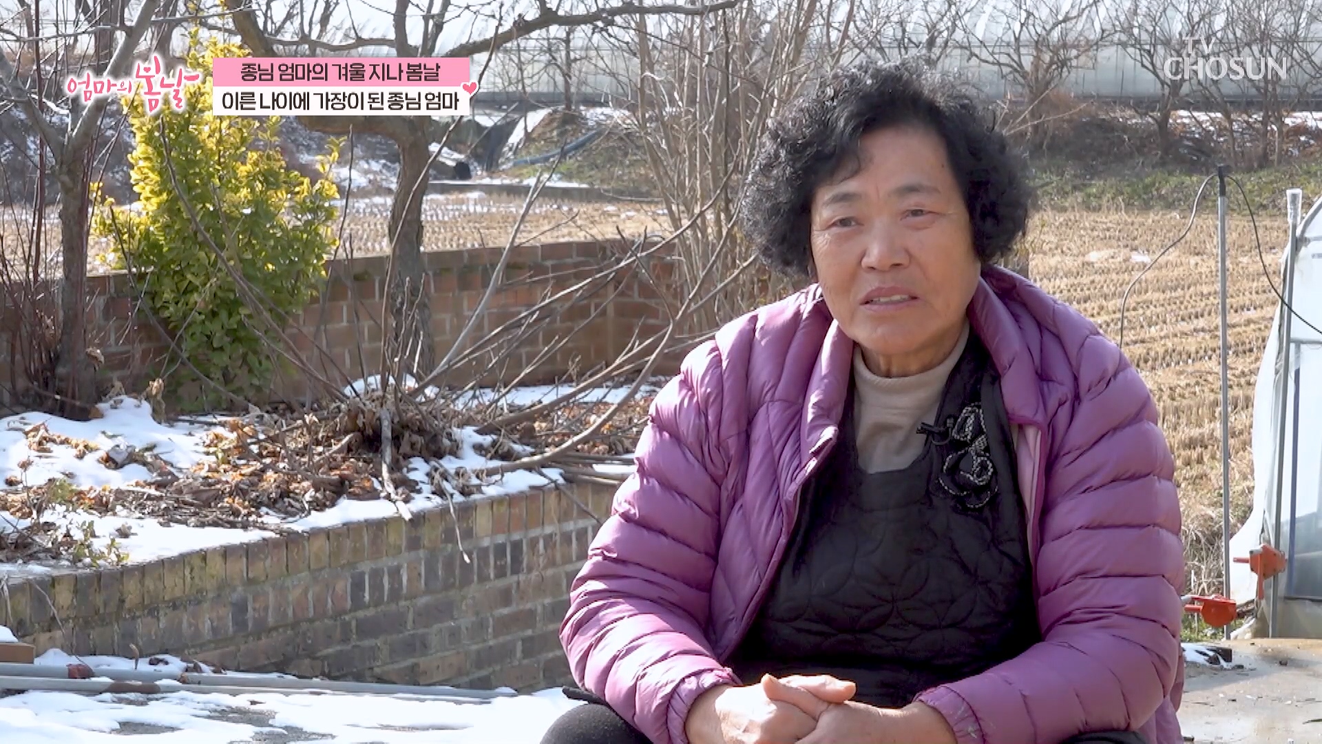 엄마의 봄날 541회