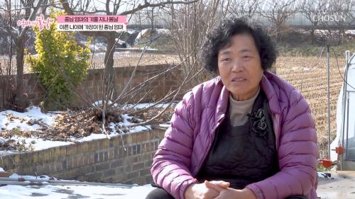 엄마의 봄날 541회