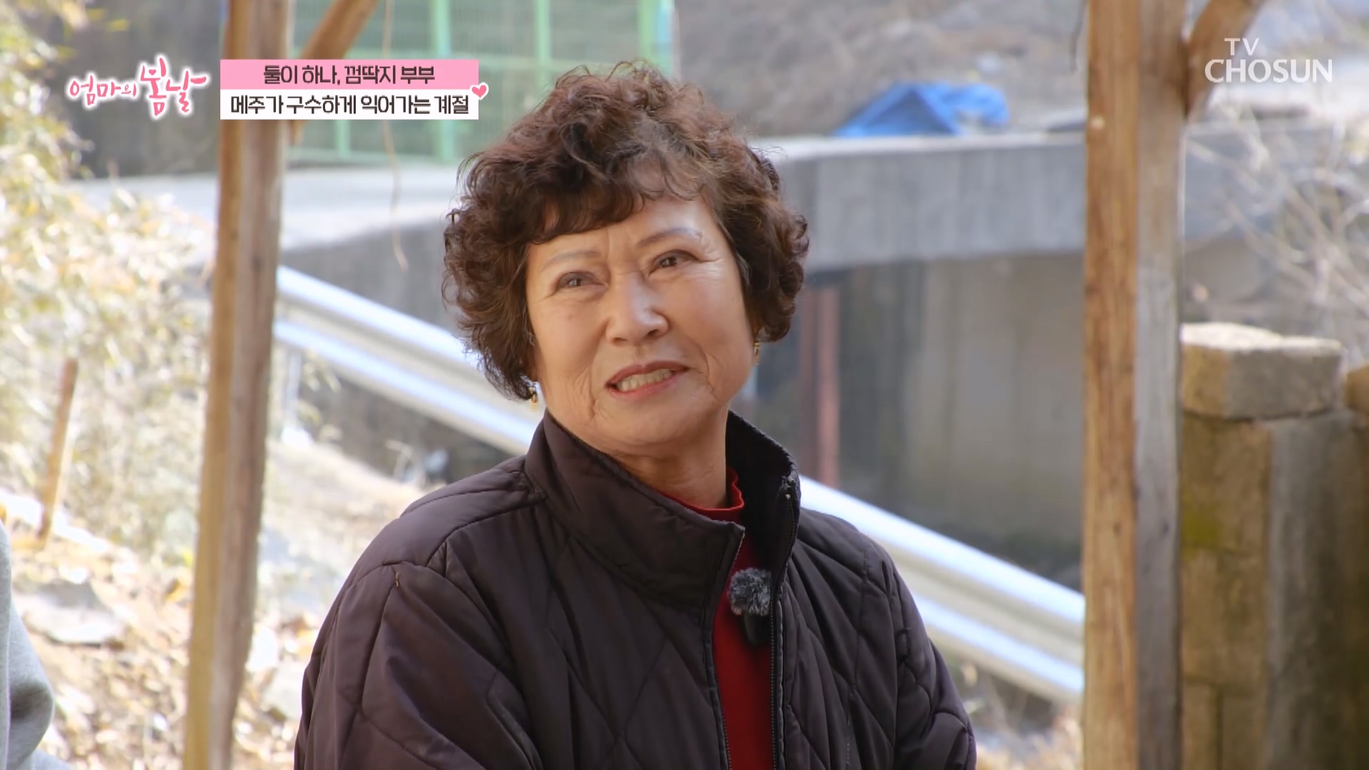 엄마의 봄날 543회