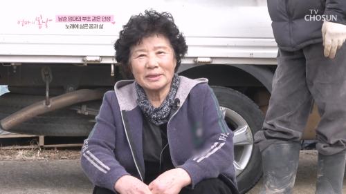 엄마의 봄날 549회