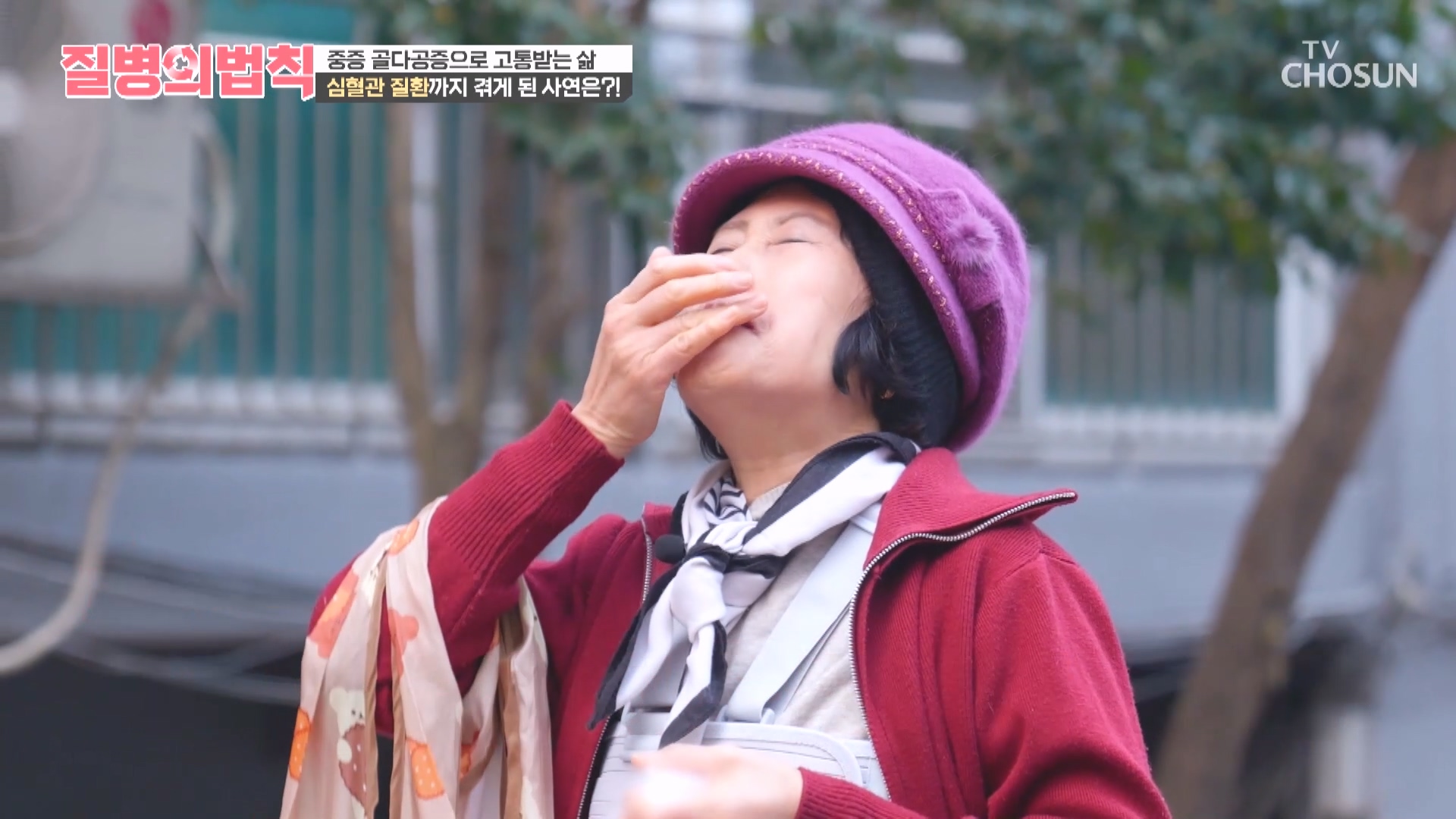 질병의 법칙 94회