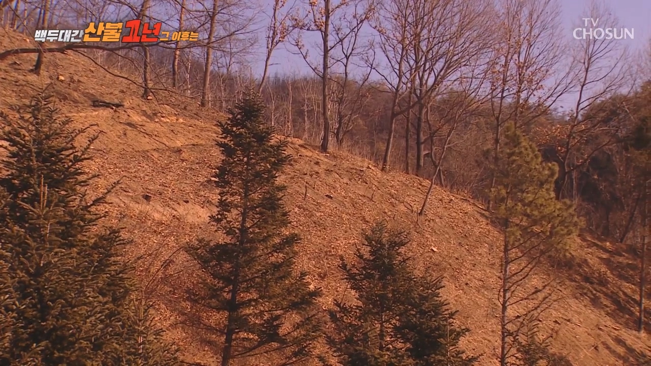 백두대간 산불 1년…그 이후 2