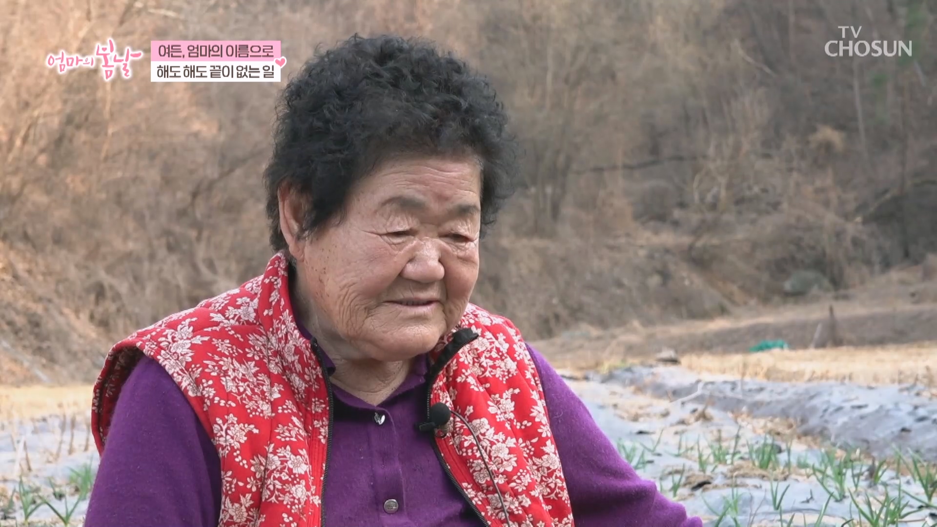 엄마의 봄날 552회