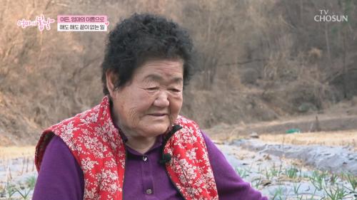 엄마의 봄날 552회