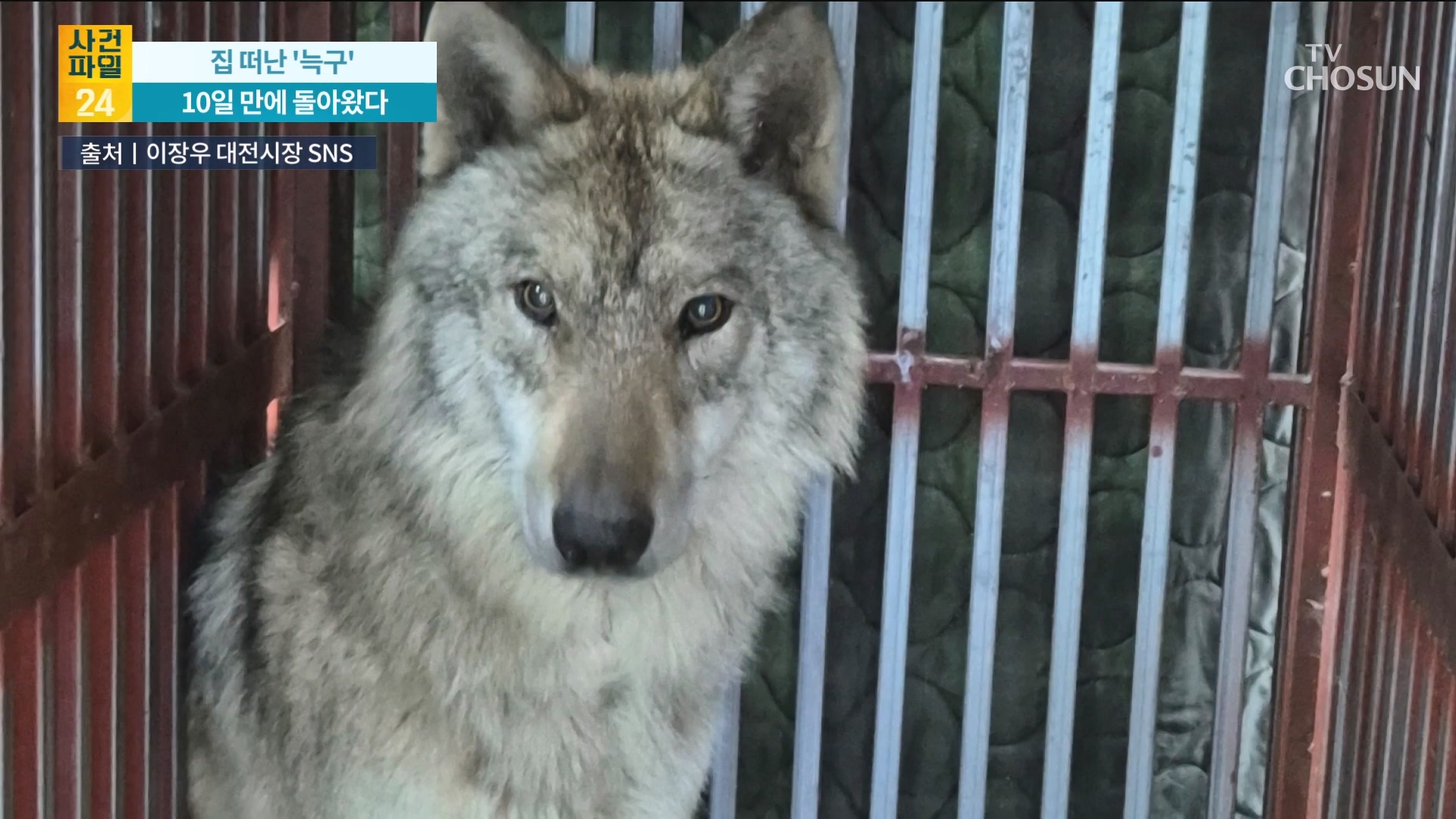 사건파일 24 2150회