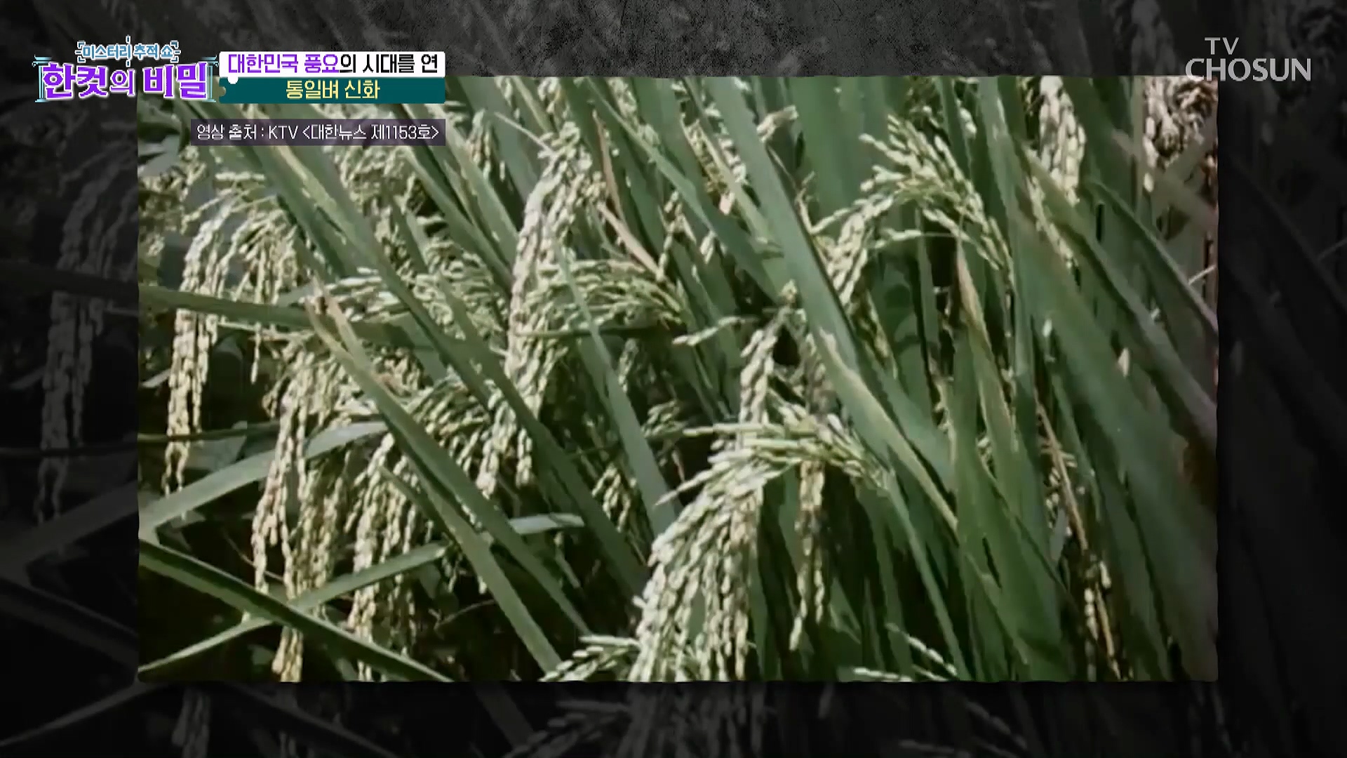 한 컷의 비밀 31회