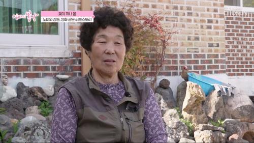 엄마의 봄날 557회