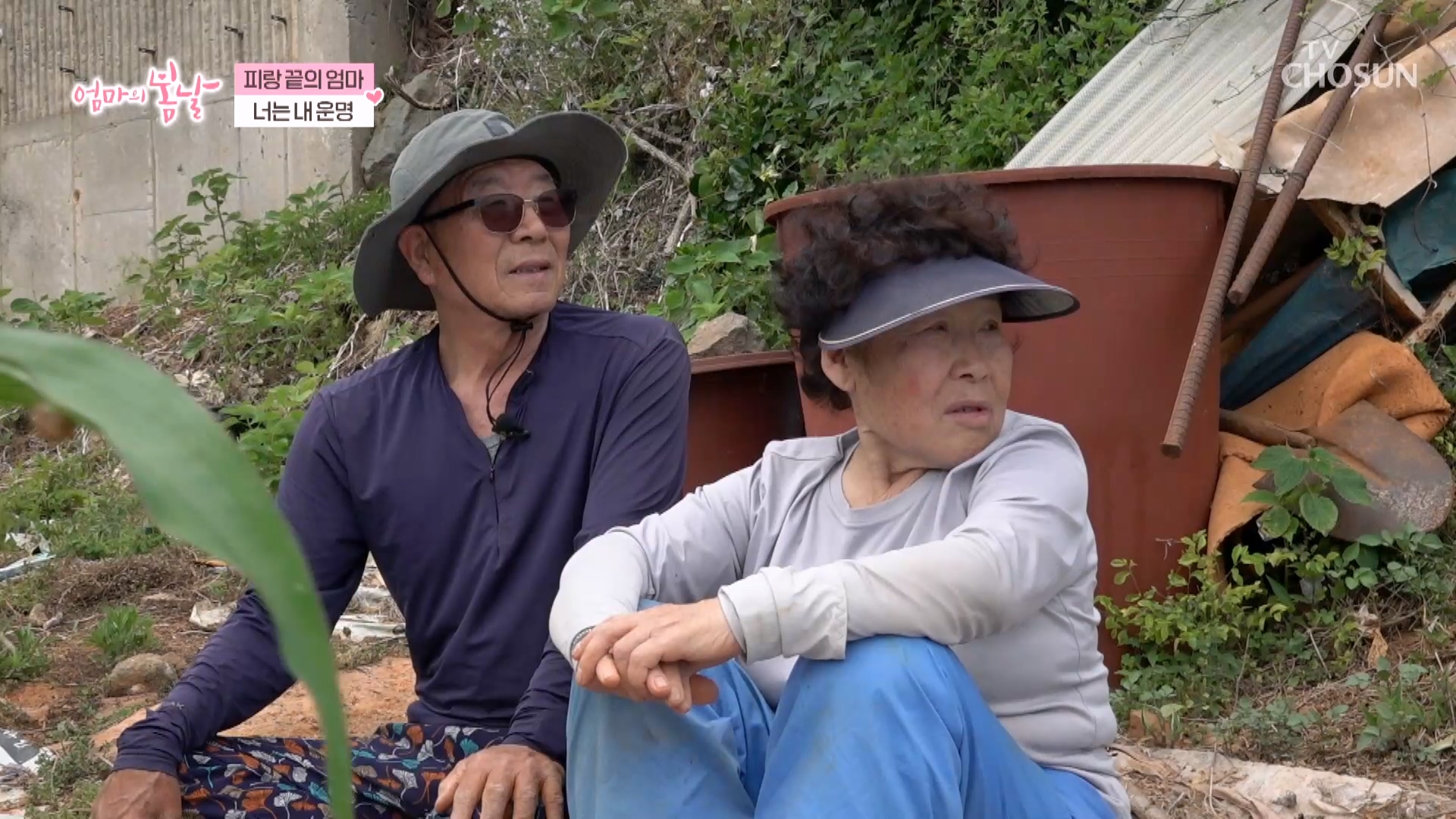 엄마의 봄날 561회