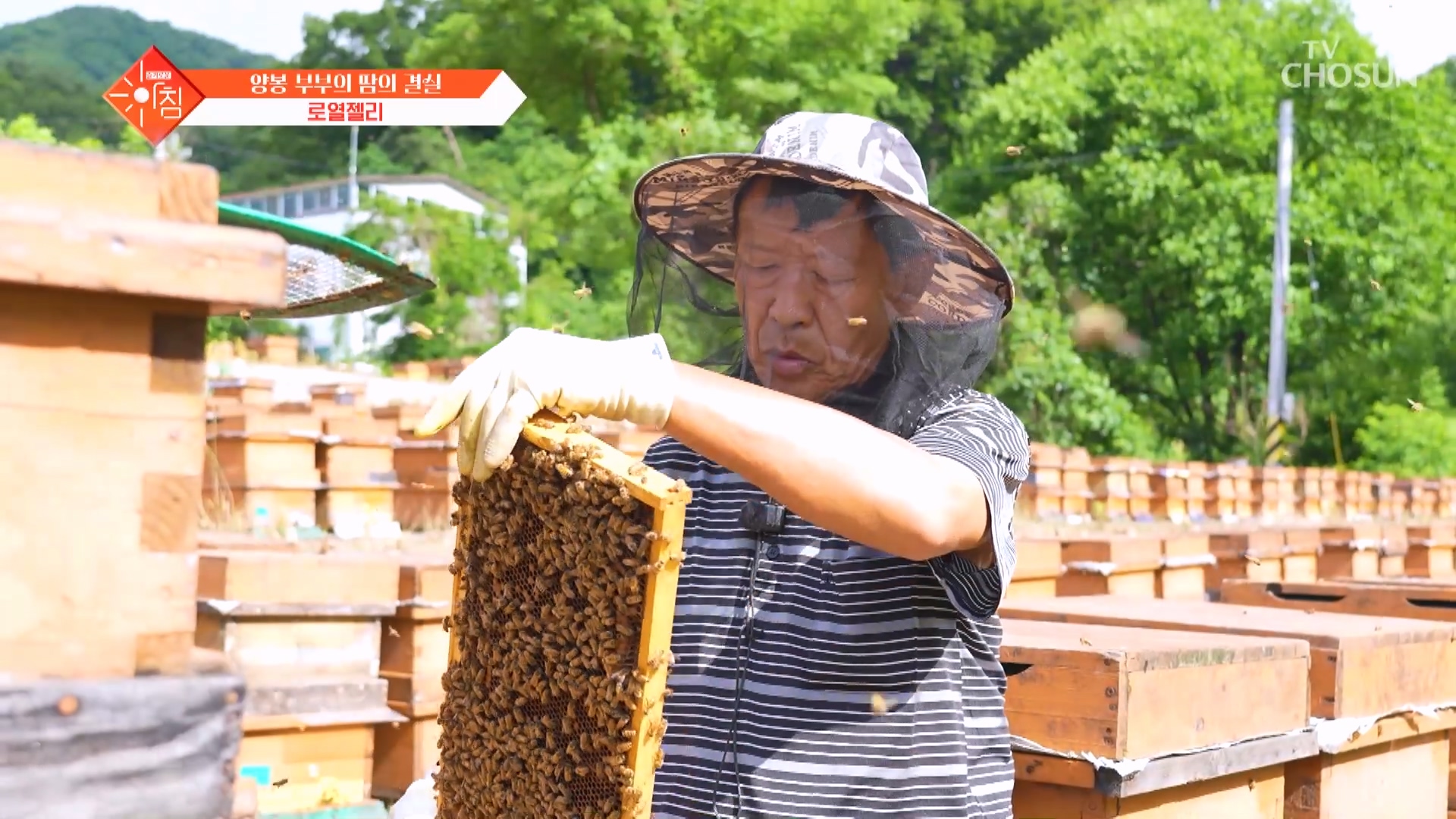 슬기로운 아침 132회