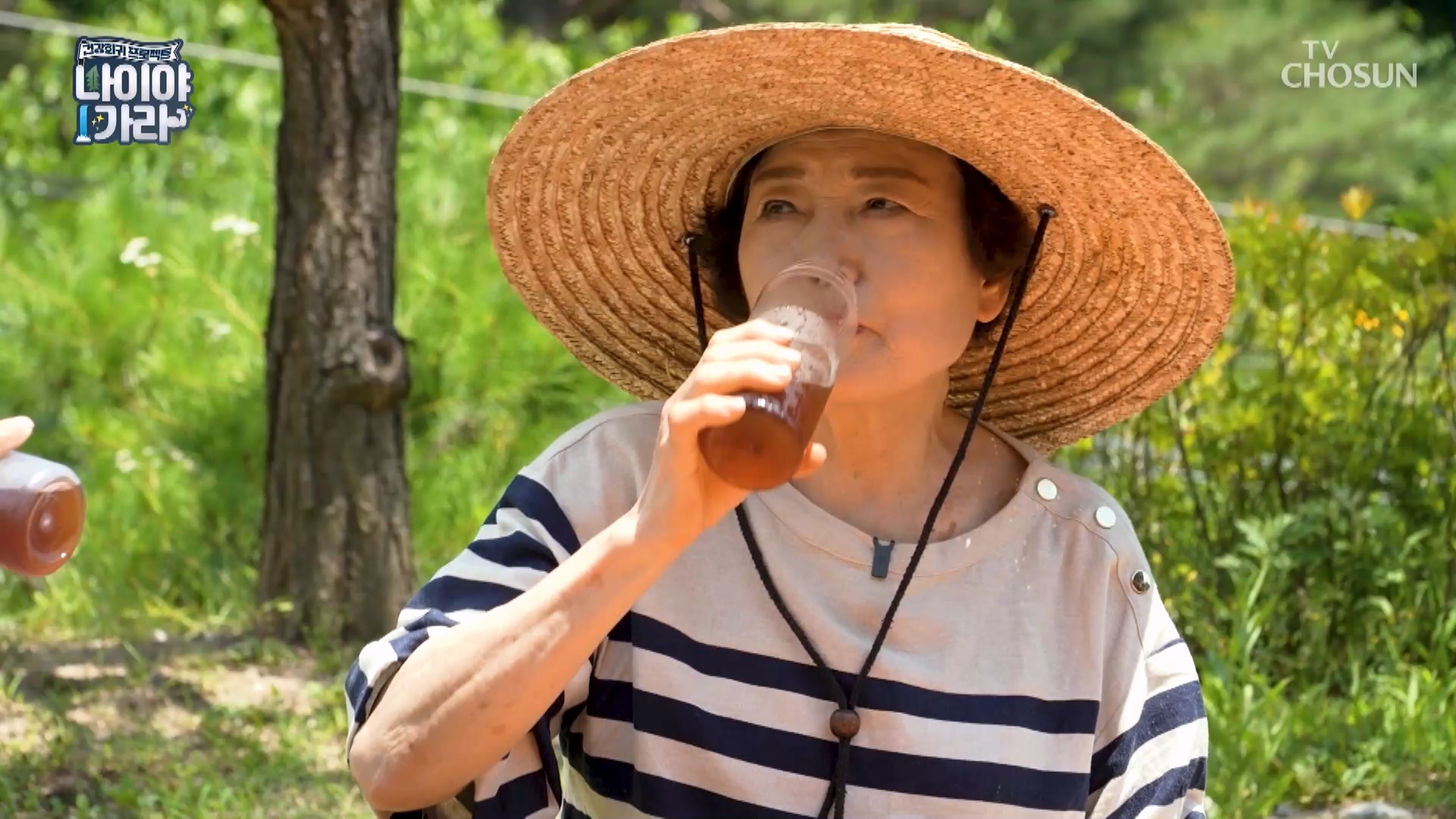 나이야가라 52회