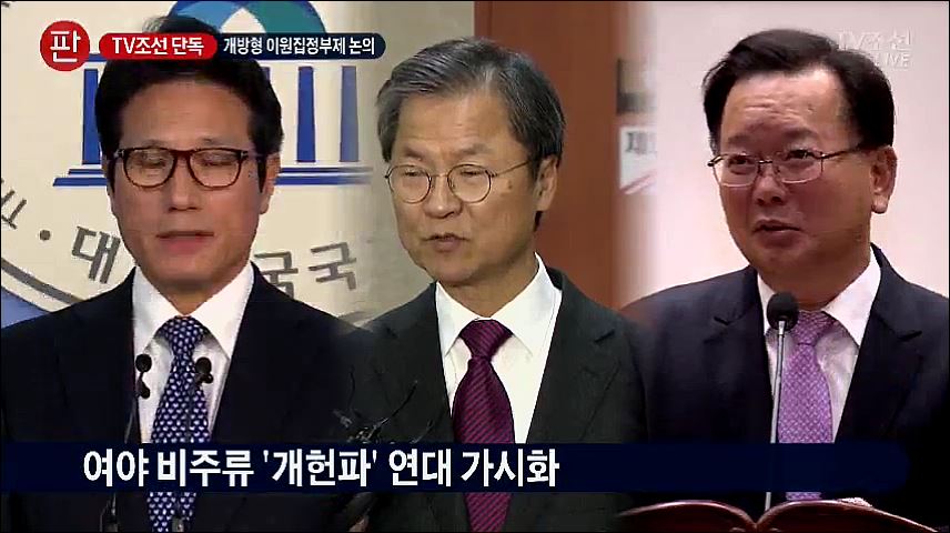 [단독] 개헌파 '개방형 이원집정제' 추진…비박·비문·국민의당 중진 개헌 논의