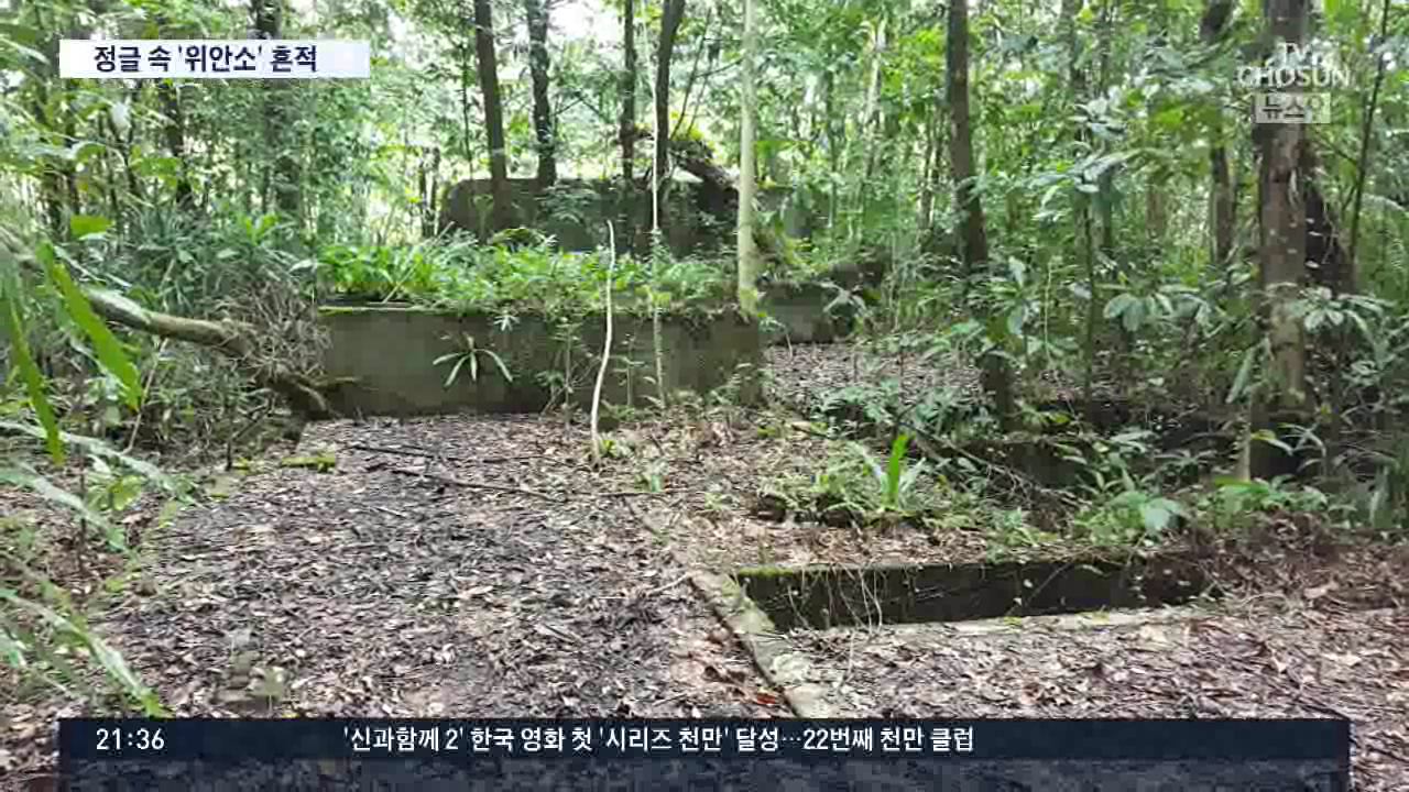 목욕시설까지 갖춘 정글속 '일본군 위안소' 발견