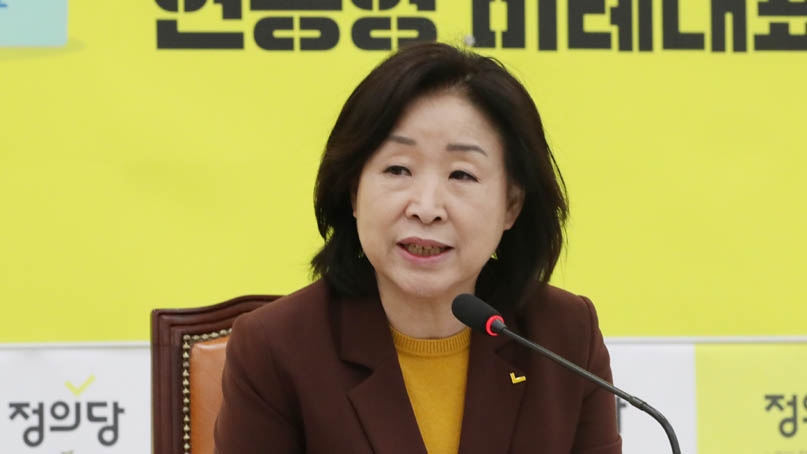 심상정 '선거제 개혁, 이달 내 합의 어려워…5당 정치협상 요청'