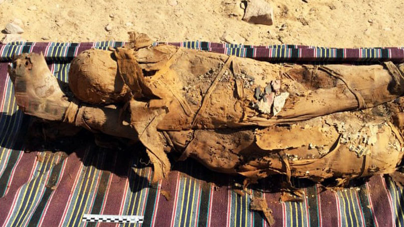 이집트 아스완서 2천년 전 미라 35구 발견