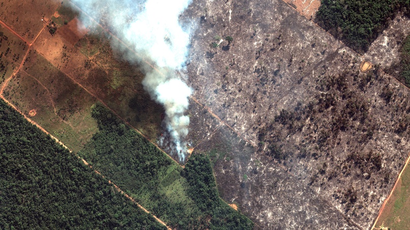'지구의 허파' 아마존 화재, 우주에서도 보여 …전세계 우려 