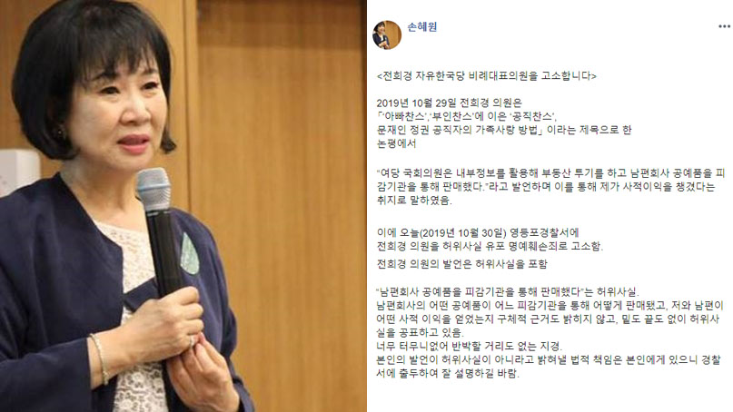 손혜원, 한국당 전희경 고소…'논평 통해 허위사실 유포'