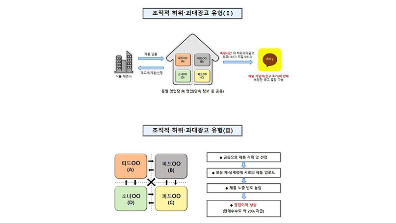 '비공개 SNS'로 허위광고·가짜 체험기 유포…13곳 업체 적발