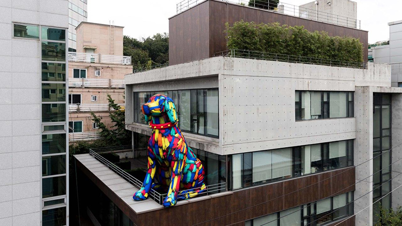 utopia-lab 2800 x 4900 x 5000 cm 공기막 조형물 가변복합소재, 2020 김우진 작가