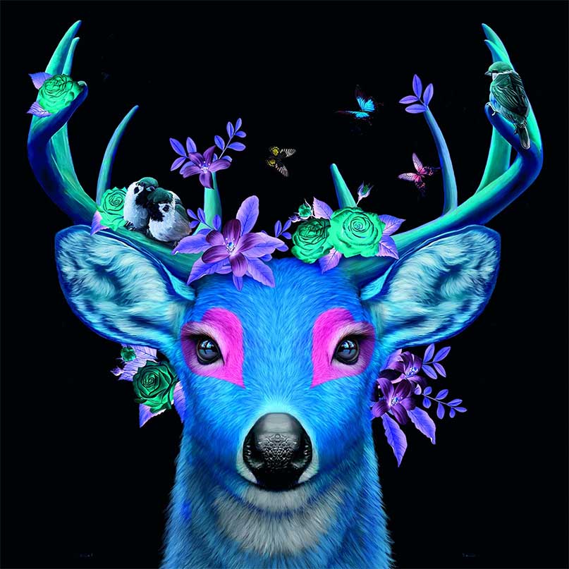 핑크빛 하트 눈의 푸른 사슴…고상우작가 사진전 