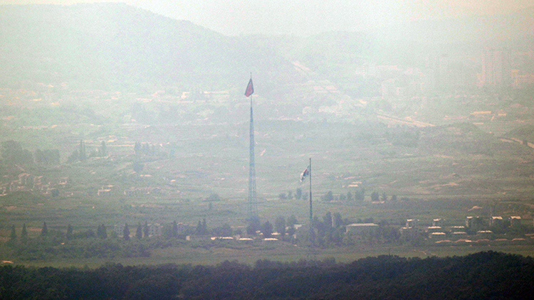 펄럭이는 태극기와 인공기 / 연합뉴스