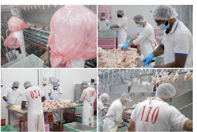 / 싱가포르 식품청 페이스북 캡처