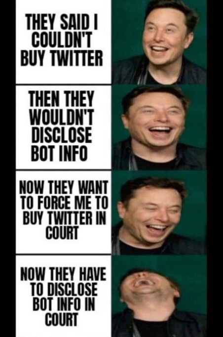 일론머스크가 트위터에 올린 이미지 컷 / 머스크 트위터 캡처