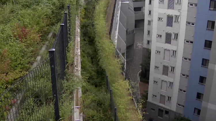 /TV조선 방송화면 캡처