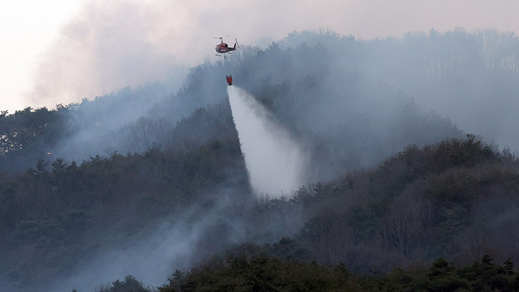산림 당국이 8일 오후 경남 합천군 월평리 일원 야산에서 발생한 산불을 진화하고 있다. /연합뉴스